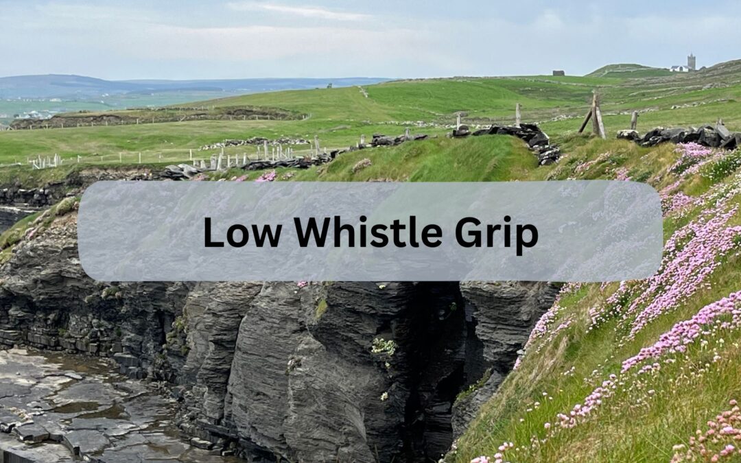 Low Whistle Grip