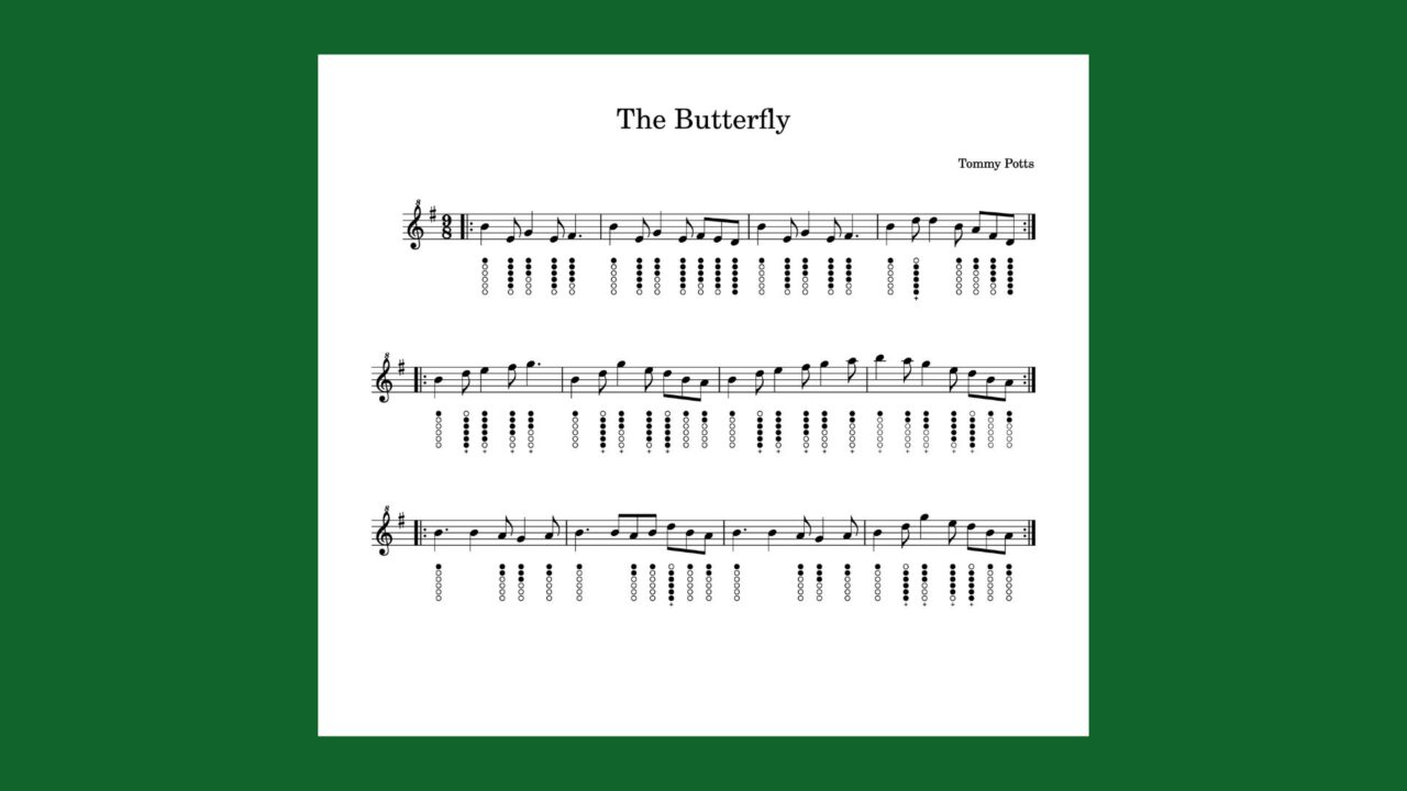 The Butterfly (Slip Jig) My Low D Whistle Journey