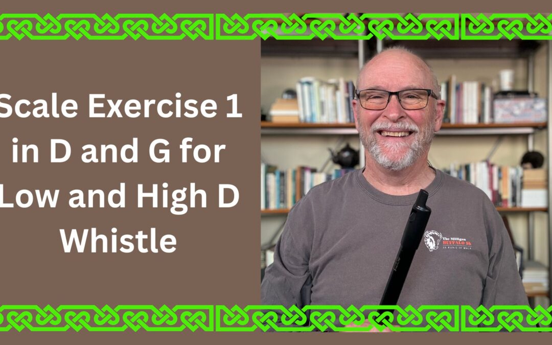 Scale Exercise 1 in D and G for Low and High D Whistle