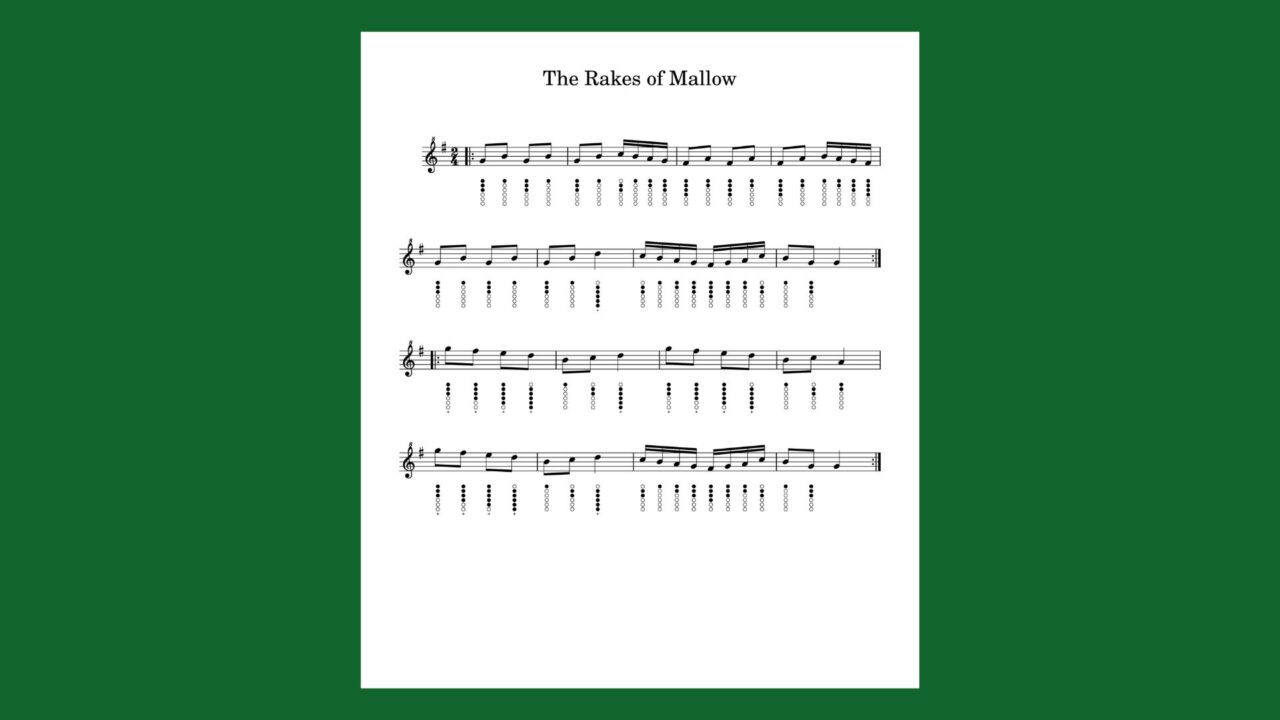 Introducing the Rakes of Mallow Polka for Low and High D Whistle My