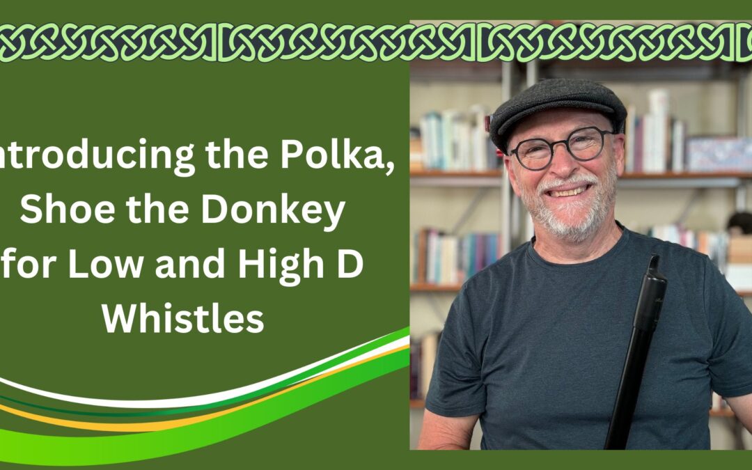 Introducing the Polka, Shoe the Donkey (Glenside Polka) for Low and High D Whistles