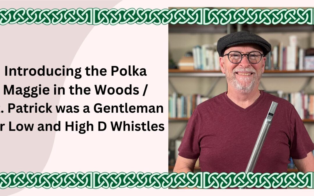 Introducing the Polka Maggie in the Woods / St Patrick was a Gentleman for Low and High D Whistles