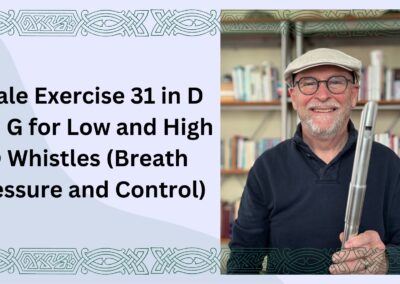 Scale Exercise 31 in D and G for Low and High D Whistles 