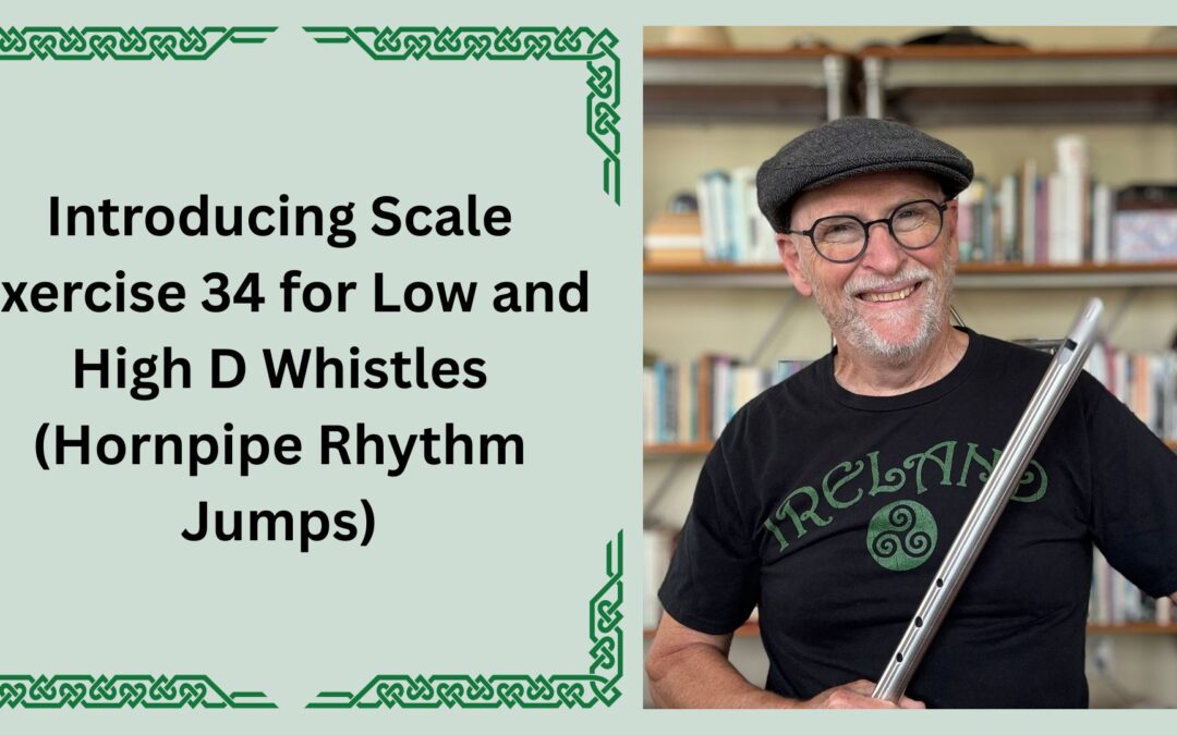 Introducing Scale Exercise 34 for Low and High D Whistles (Hornpipe Rhythm Jumps)