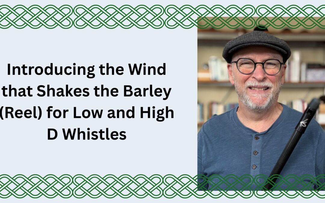 Introducing the Wind that Shakes the Barley (Reel) for Low and High D Whistles