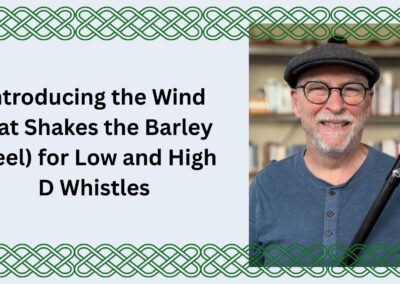 Introducing the Wind that Shakes the Barley (Reel) for Low and High D Whistles