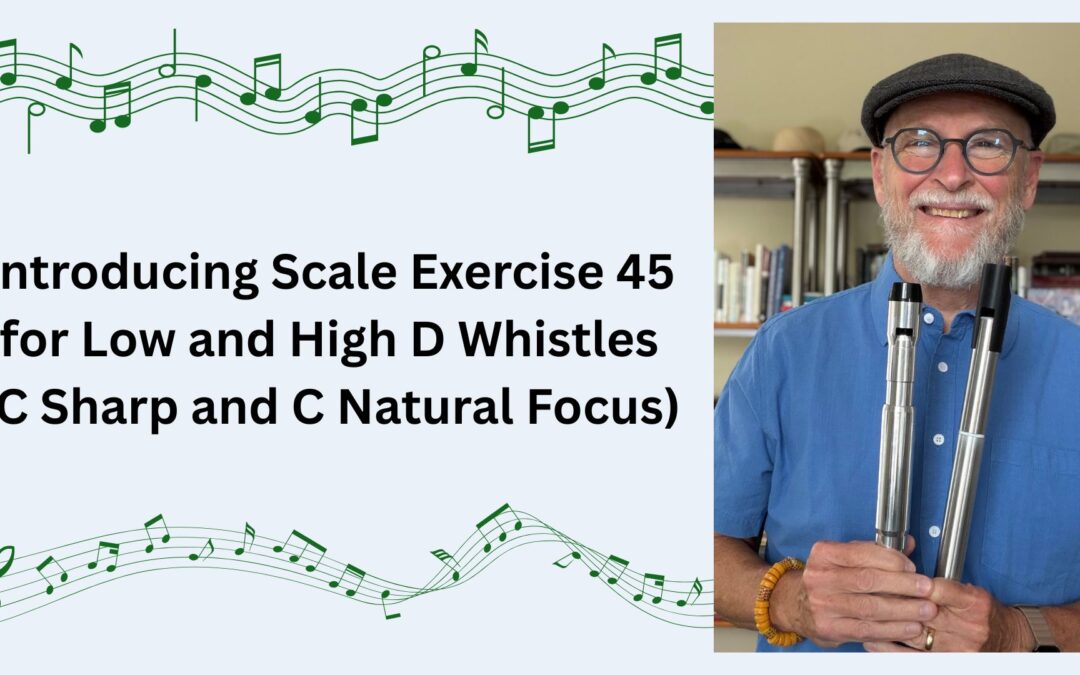 Introducing Scale Exercise 45 for Low and High D Whistles (C Sharp and C Natural Focus)
