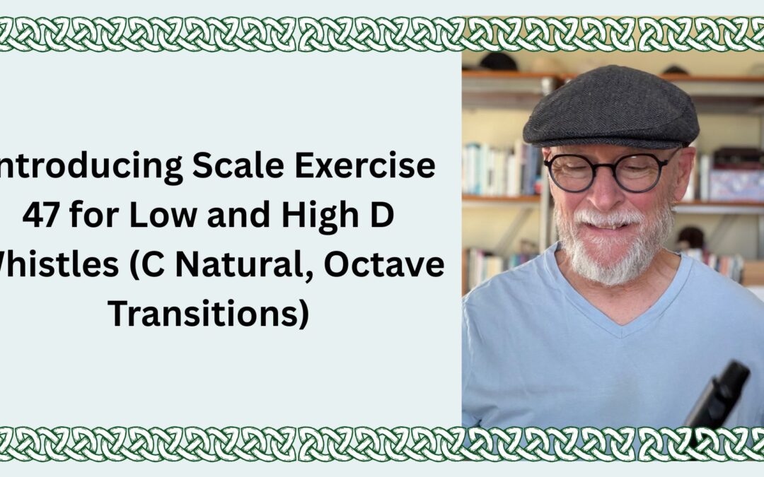 Introducing Scale Exercise 47 for Low and High D Whistles (C Natural, Octave Transitions)
