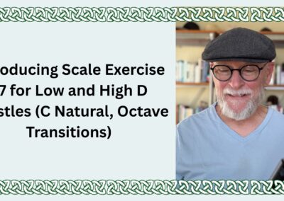 Introducing Scale Exercise 47 for Low and High D Whistles (C Natural, Octave Transitions)