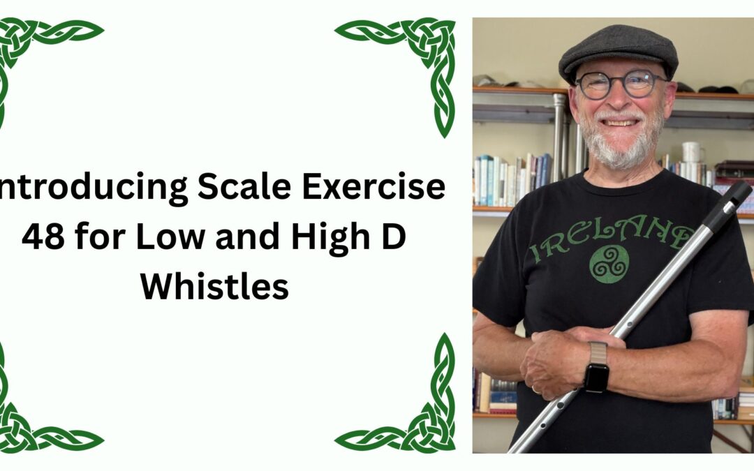 Introducing Scale Exercise 48 for Low and High D Whistles