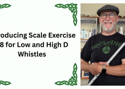 Introducing Scale Exercise 48 for Low and High D Whistles