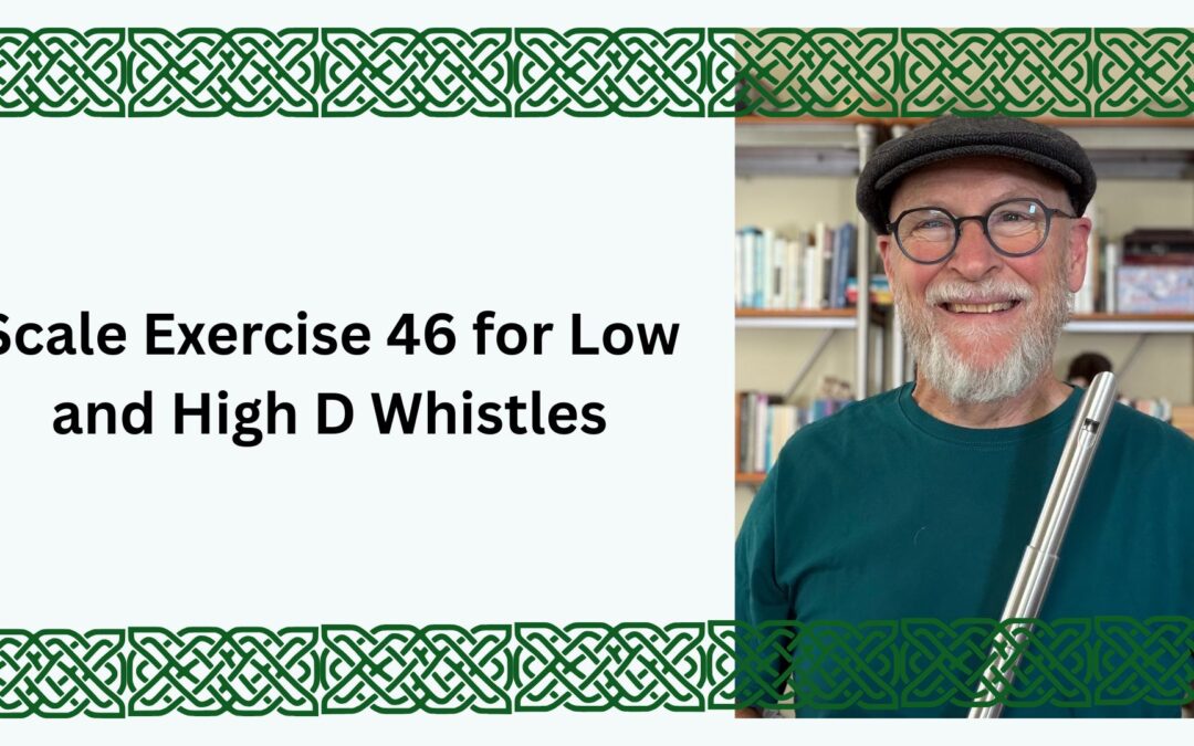 Introducing Scale Exercise 46 for Low and High D Whistles