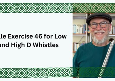 Introducing Scale Exercise 46 for Low and High D Whistles