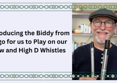 Introducing the Biddy from Sligo Jig for us to Play on our Low and High D Whistles